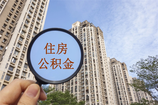 博罗离职多久可以取住房公积金（离职多久后能取公积金）